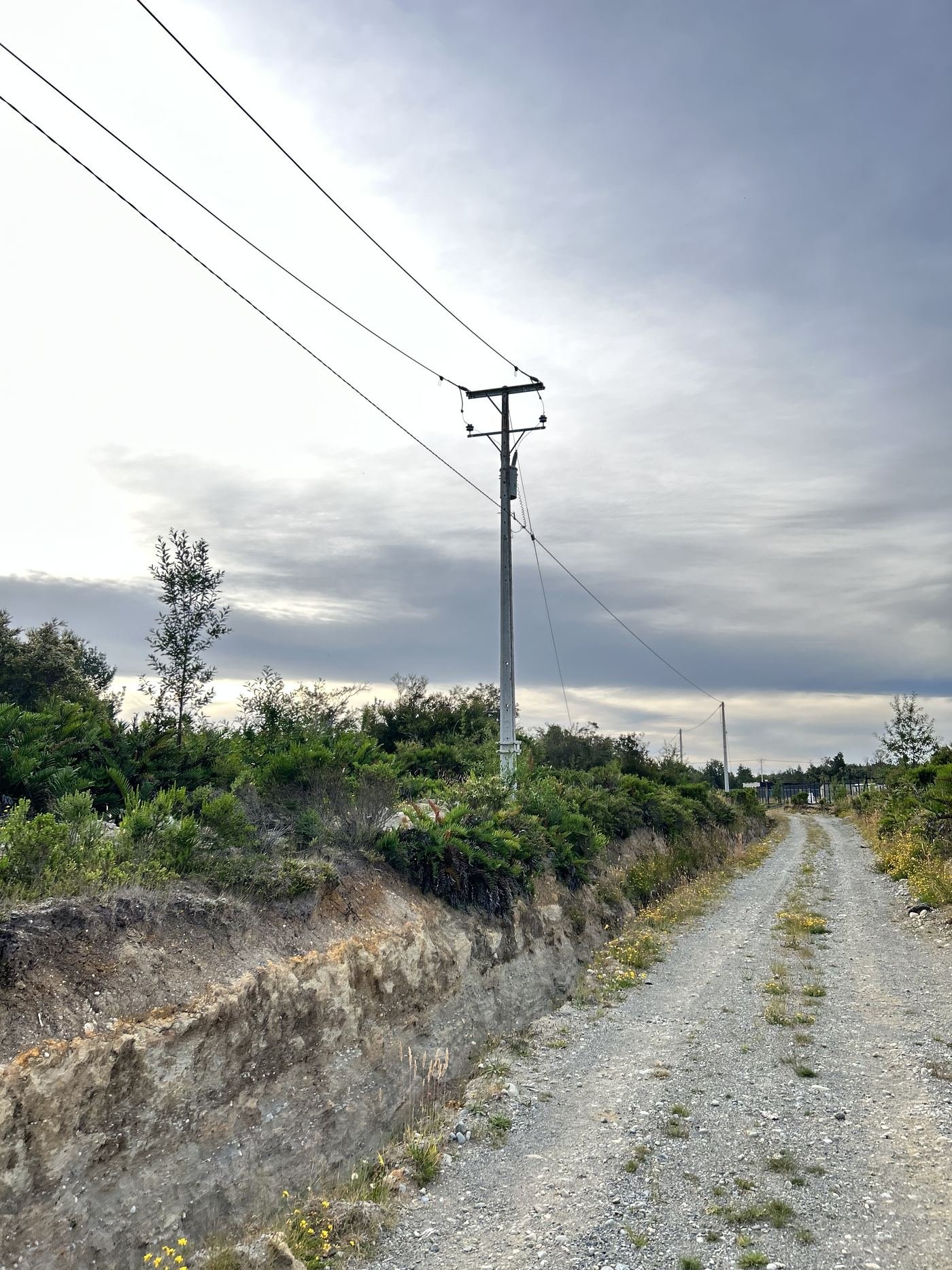 Camino de acceso — Parcela Los Pinis