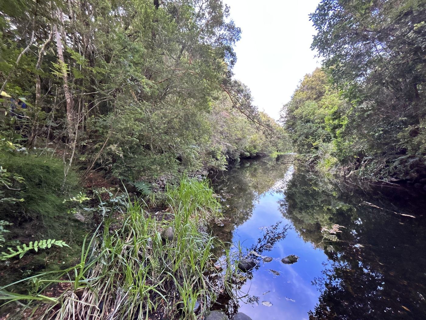 Riachuelo — Parcela Los Pinis